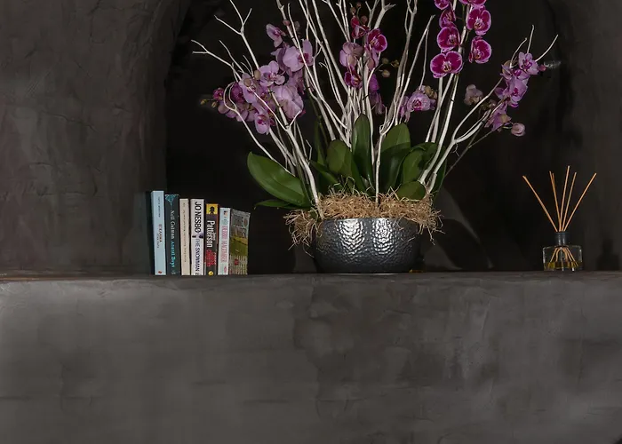 Alta Mare By Andronis (adults Only) Hotel Ia