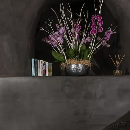 Alta Mare By Andronis (adults Only) ホテル イア